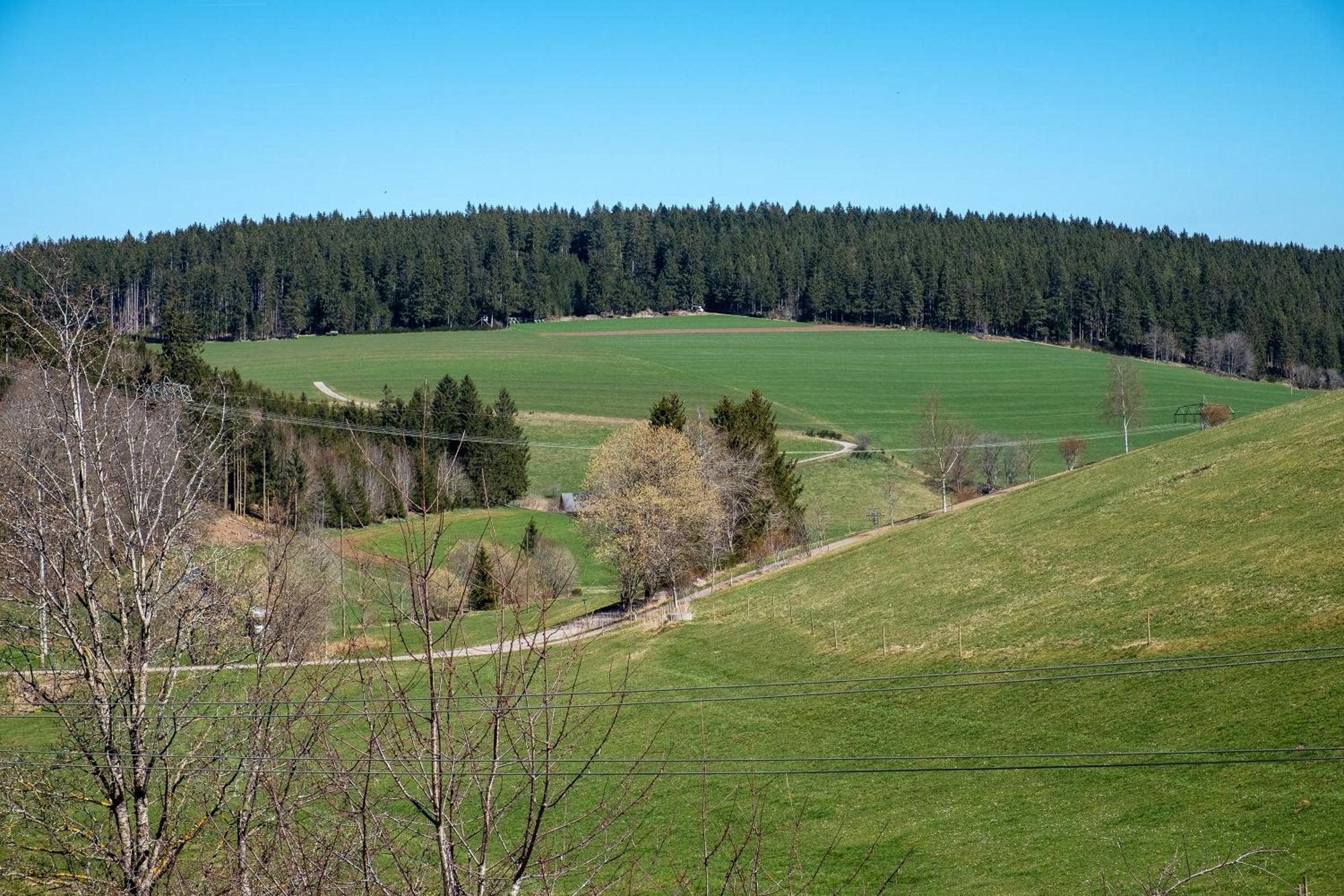 Ferienwohnung Armbruster Sankt Georgen im Schwarzwald Exterior photo