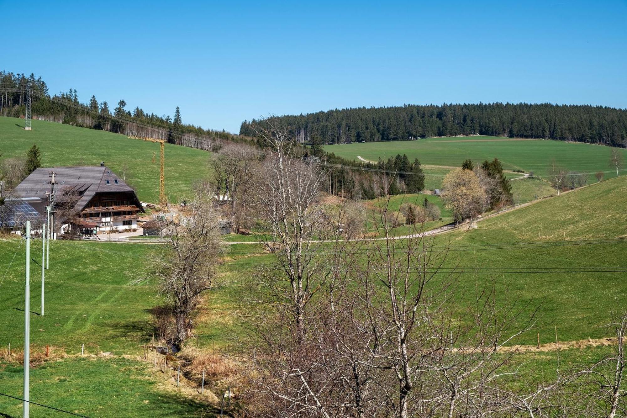 Ferienwohnung Armbruster Sankt Georgen im Schwarzwald Exterior photo