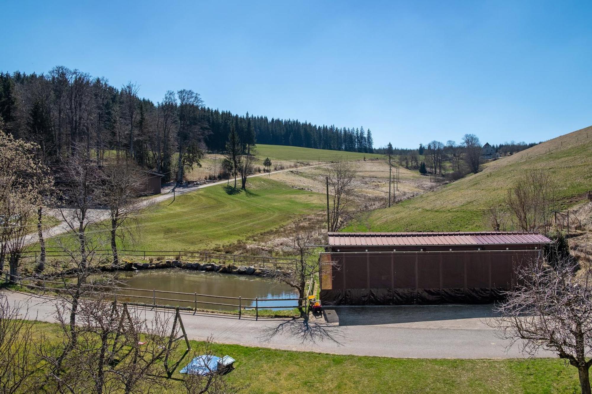 Ferienwohnung Armbruster Sankt Georgen im Schwarzwald Exterior photo